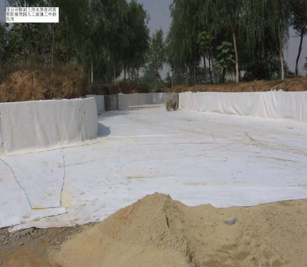 圖片.png 圖片.png