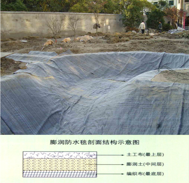 圖片.png 圖片.png