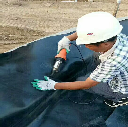 圖片.png 圖片.png