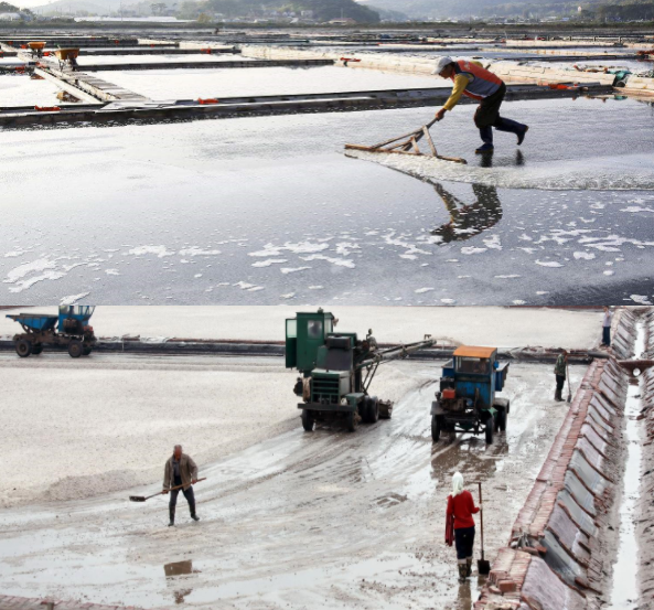 圖片.png 圖片.png