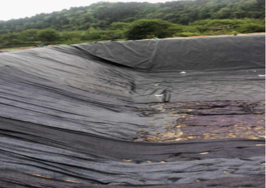 圖片.png 圖片.png