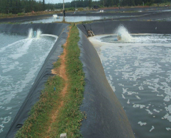 圖片.png 圖片.png