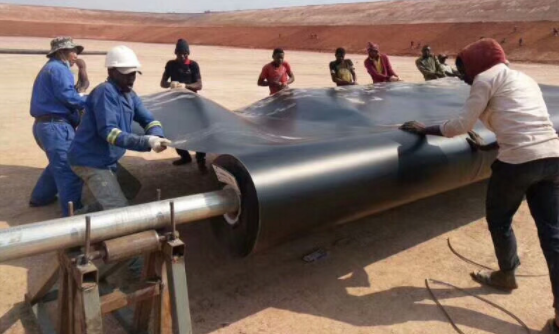 圖片.png 圖片.png