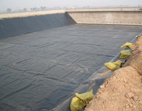 圖片.png 圖片.png