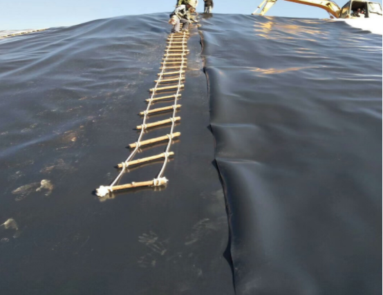 圖片.png 圖片.png